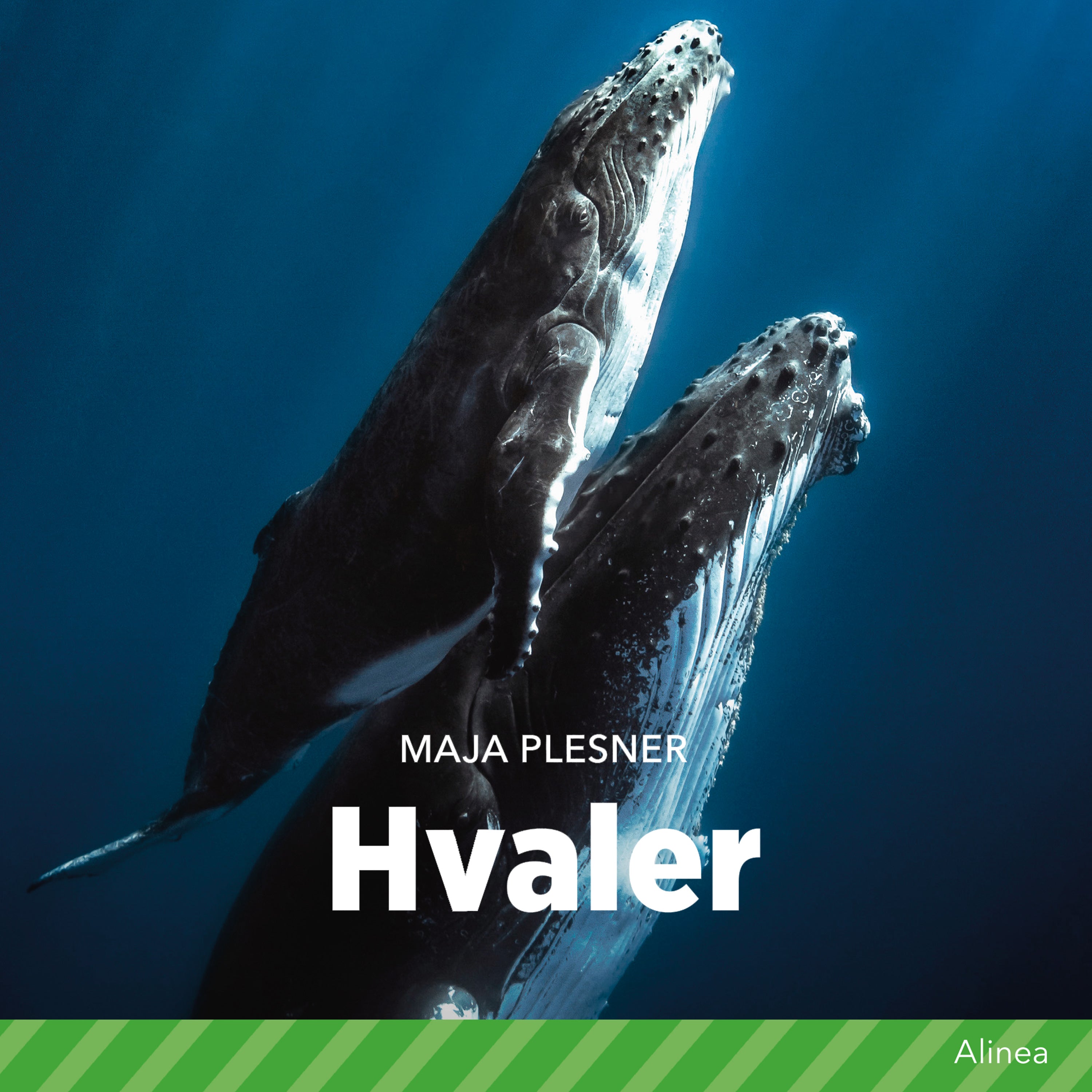 Forside billede